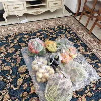 اشیزی ونظافت خانه