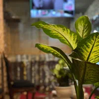 دورهمی و جلسات در کافه