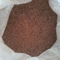 فروش فوری کنجد|خوردنی و آشامیدنی|مینودشت, |دیوار