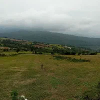 زمین-کشاورزی