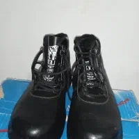 پوتین ایمنی