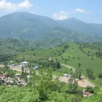 سوئیت-52-متری-تک-خواب-همکف