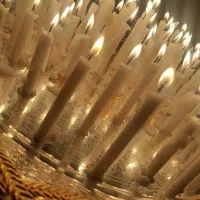 فال وپیشگویی باقهوه،تاروت،اوراکل،هرمس،شمع|خدمات پذیرایی، مراسم|تهران, الهیه|دیوار