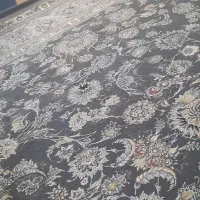 دوتا فرش نو نو|فرش|لواسان, |دیوار