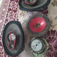 باند پایونر