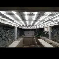 برقکاری عیبیابی تخصصی ساختمان و صنعتی با گارانتی