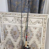 لنسر ماهیگیری