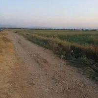 فروش-زمین-کشاورزی