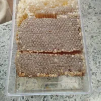 فروش|خوردنی و آشامیدنی|شیراز, جوادیه|دیوار