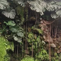 دکور اب نما اکواریوم مناسب مغازه خانه دفترکار|صنایع دستی و سایر لوازم تزئینی|شیراز, شهرک ولیعصر|دیوار