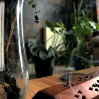 اجاره-تخت-و-اتاق-در-کلینیک-زیبایی