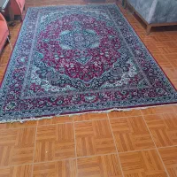 فرش شش متری شسته شده|فرش|کیش, |دیوار