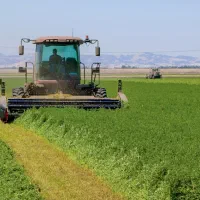 فروش-35-هکتار-زمین-کشاورزی-با-چاه-شخصی-و-بارانی