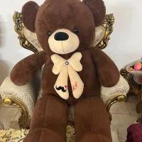 عروس بزرگ خرس