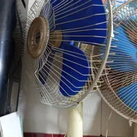 پنکه