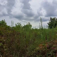 فروش فوری زمین باکاربری مسکونی