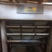 دستگاه جوجه کشی ۱۰۸تایی رضوانشهر