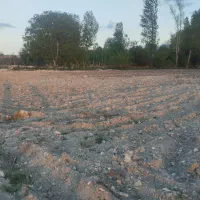زمین-کشاورزی