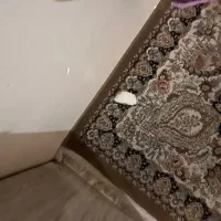 فرش ۹متری مناسب|فرش|تهران, تهرانسر غربی|دیوار