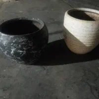 گلدون سالم