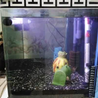 اکواریوم|ماهی|تهران, فلسطین (میدان انقلاب)|دیوار