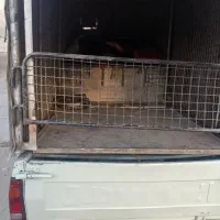 فروش پیکان وانت88|خودرو سواری و وانت|محمدشهر, کوی بهار|دیوار