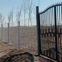 تولیدی فنس ، حصار باغی چشمه|عمده‌فروشی|سیرجان, |دیوار