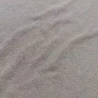 پالاز موکت فروشی