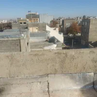 کبوتر|پرنده|قروه, |دیوار