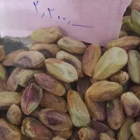 انواع مغز پسته دامغان