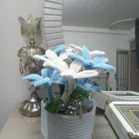 گل زیبا