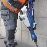 تخریب باپیکور