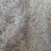 فجردرجه یک۹۰روز۰