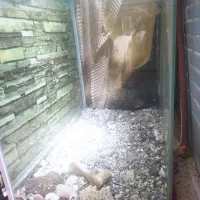 اکواریوم کم استفاده شده