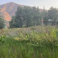 زمین در جاده چالوس آزادبر قطعه ای از بهشت|فروش زمین و ملک کلنگی|آسارا, |دیوار