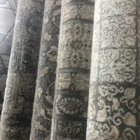 جدیدترین فرش های برشی موکت مدرن|فرش|قم, شاه ابراهیم|دیوار