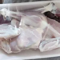 مرغ و خروس محلی|حیوانات مزرعه|شیراز, عادل آباد|دیوار