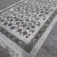 1200تخته فرش به مدت 3هفته حراج واقعی فرش سارینا|فرش|بوشهر, |دیوار