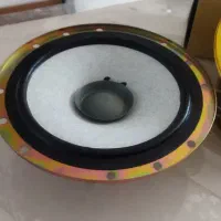 فروش باند ۶/۵اینچی یا بلند گو|قطعات یدکی و لوازم جانبی|بم, |دیوار