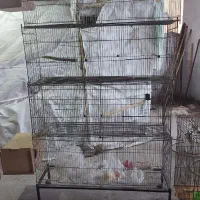 فروش قفس پرون|لوازم جانبی حیوانات|آمل, |دیوار