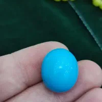 فیروزه پاک نیشابور