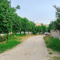 148متری-داخل-بافت-و-قابل-ساخت-نزدیک-اتوبان