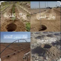 کندن چاله درخت بامته تراکتوری|خدمات باغبانی و درختکاری|گلپایگان, |دیوار