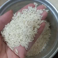 25کیلو برنج هاشمی خانگی