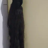 هد جلو مویی