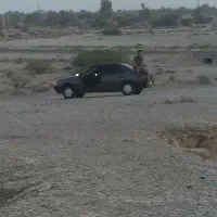 پژو مدل ۸۱