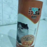 شامپوشستشوگربه