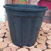 گلدان پلاستیکی مشکی گلخانه ای