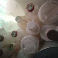دبه خیارشور