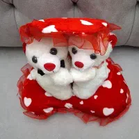 عروسک خرسی نو